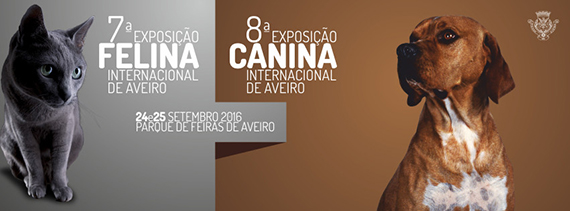 Exposição Canina e Felina Internacional de Aveiro