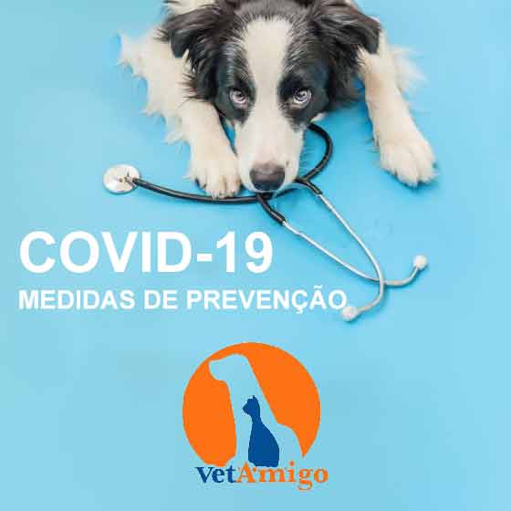 covid-19