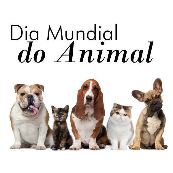Dia mundial do animal
