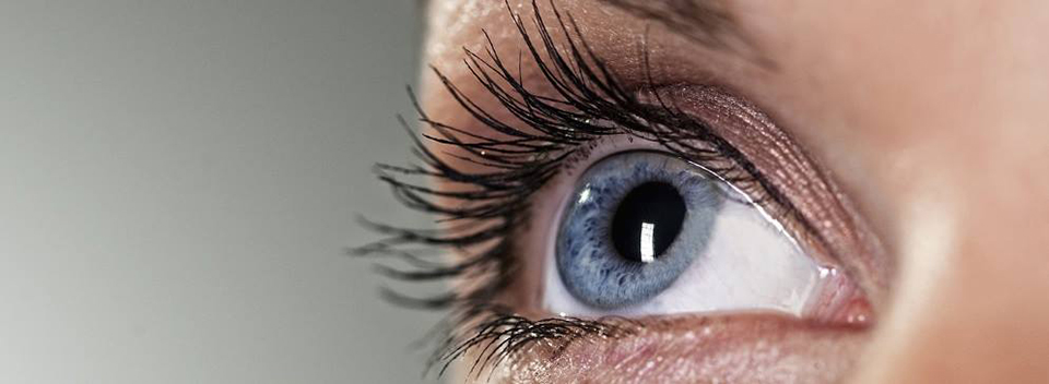 Opticalia Sever do Vouga