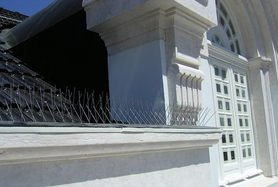 Pombos