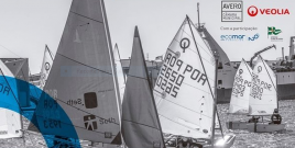 Velejar na Ria de Aveiro