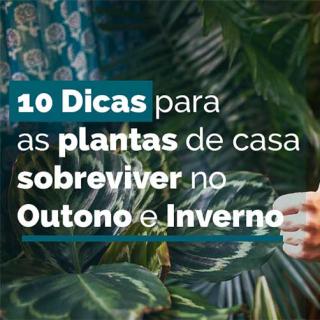 10 dias Outono e Inverno