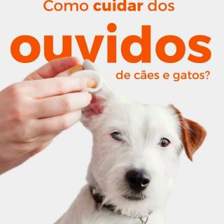 🐶 Ouvidos saudáveis: cuidados para cães e gatos