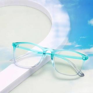 Cacioptica