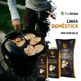 Carvão Doméstico