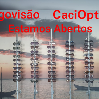 Ergovisão