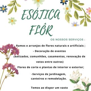 Esotica Flor