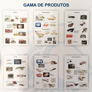 Gama de Produtos Jesus & Curto