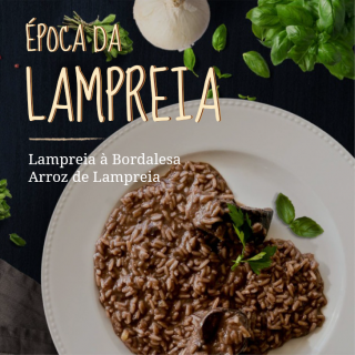 Lampreia