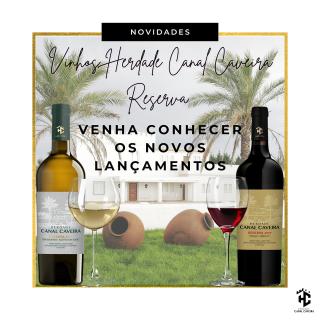 Novos Lançamentos