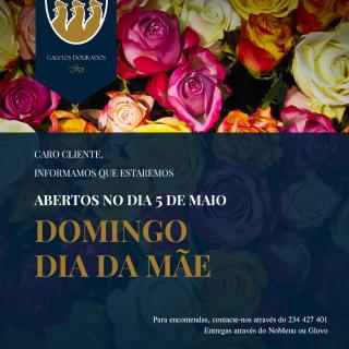 Dia da Mãe