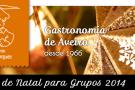 Festas de Natal para Grupos 2014