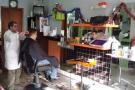 Barbearia Caciense