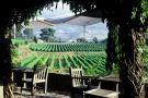 VENHA PROVAR OS VINHOS Quinta de Covela, Minho