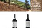 Prova de vinhos Quinta de S. José
