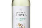 Latina Adega: Prova Quinta de Curvos