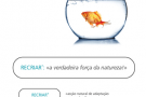 Realbase: Comunicar ideias e alcançar resultados