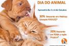 Clínica Vetamigo - Dia do Animal