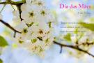 Dia da mãe