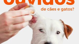 🐶 Ouvidos saudáveis: cuidados para cães e gatos