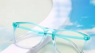 Cacioptica