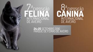 8ª Exposição Canina Internacional e 7ª Exposição Felina Internacional de Aveiro