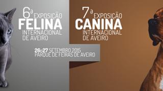  7ª Exposição Canina e 6ª Exposição Felina