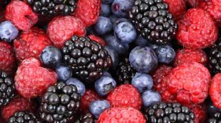 Frutos vermelhos