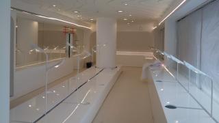 Gesso cartonado