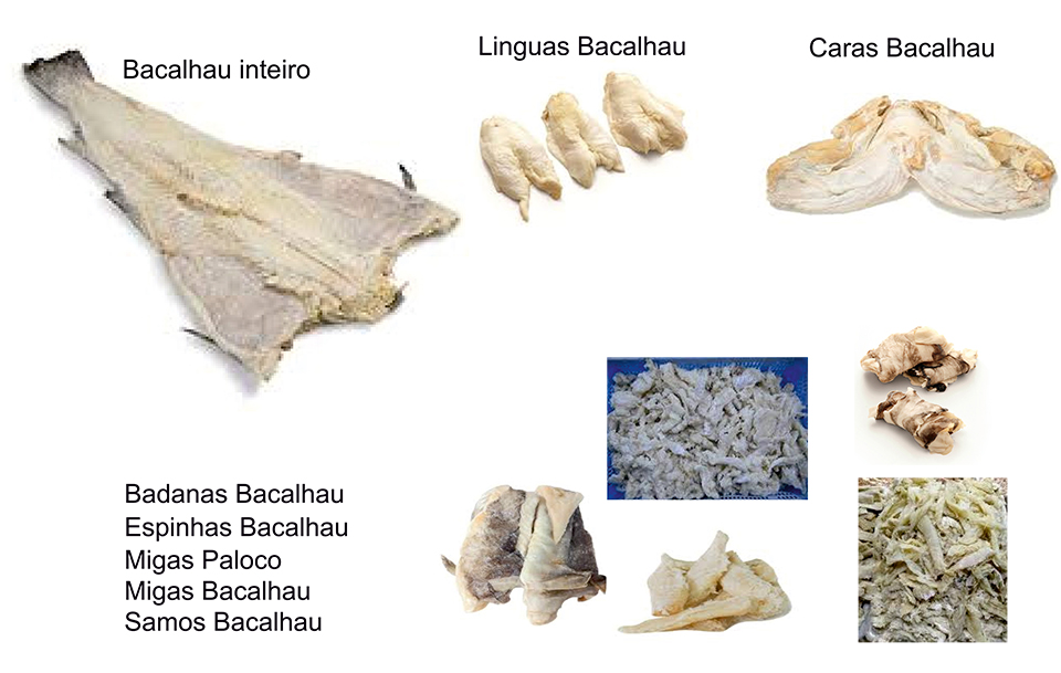 Bacalhau salgado seco