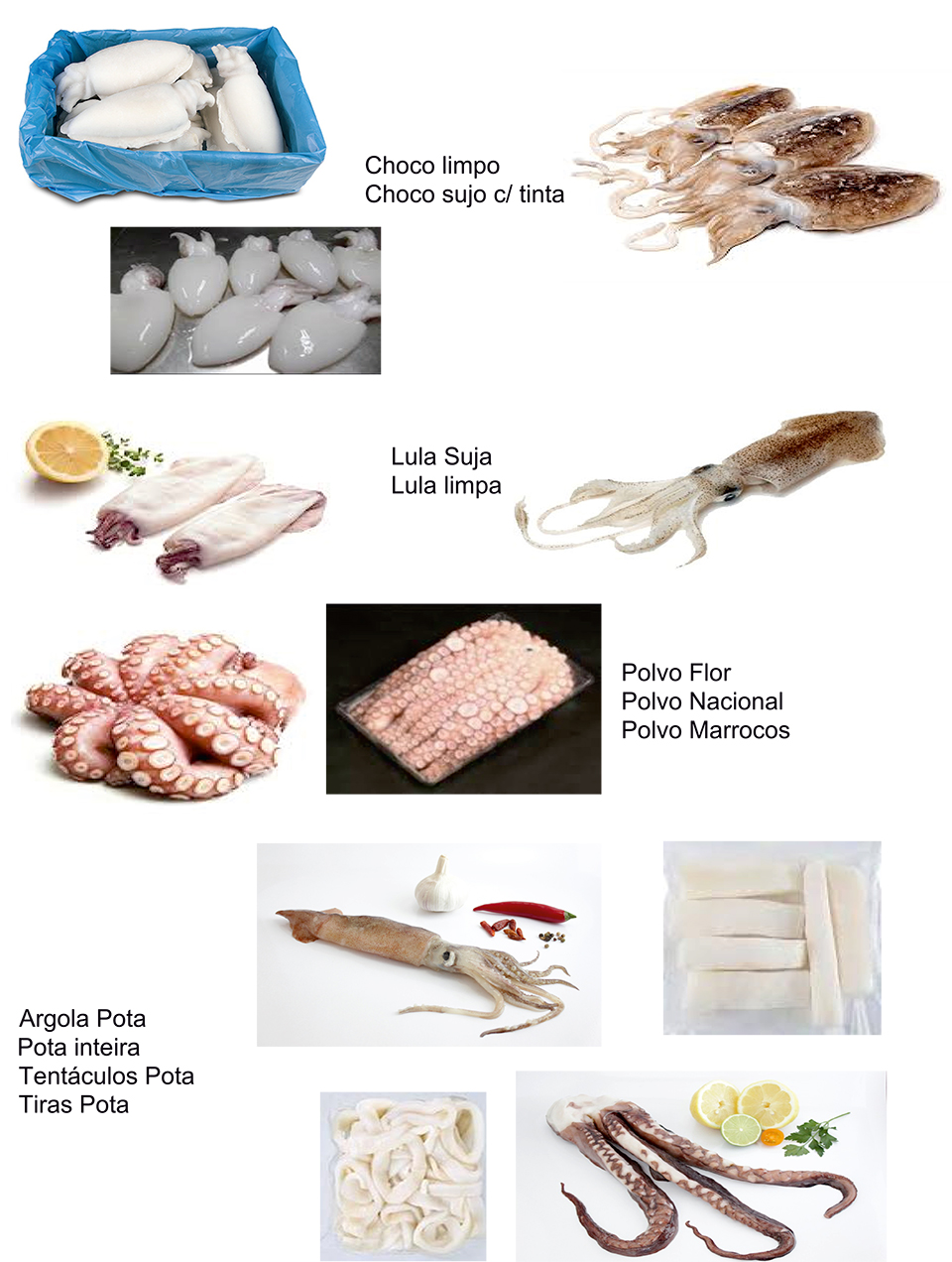 Cefalopes / Polvo