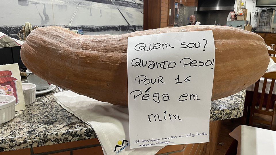 Marinhas no Halloween