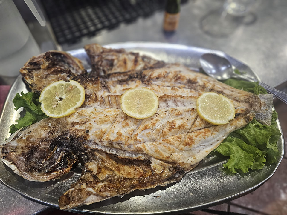 Peixe do Mar Fresco