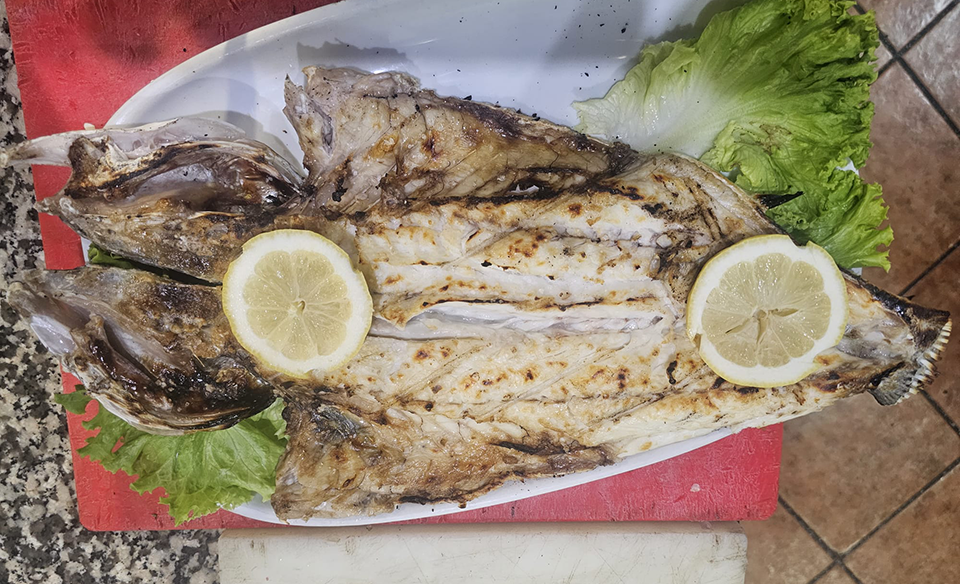 Peixe do Mar Fresco