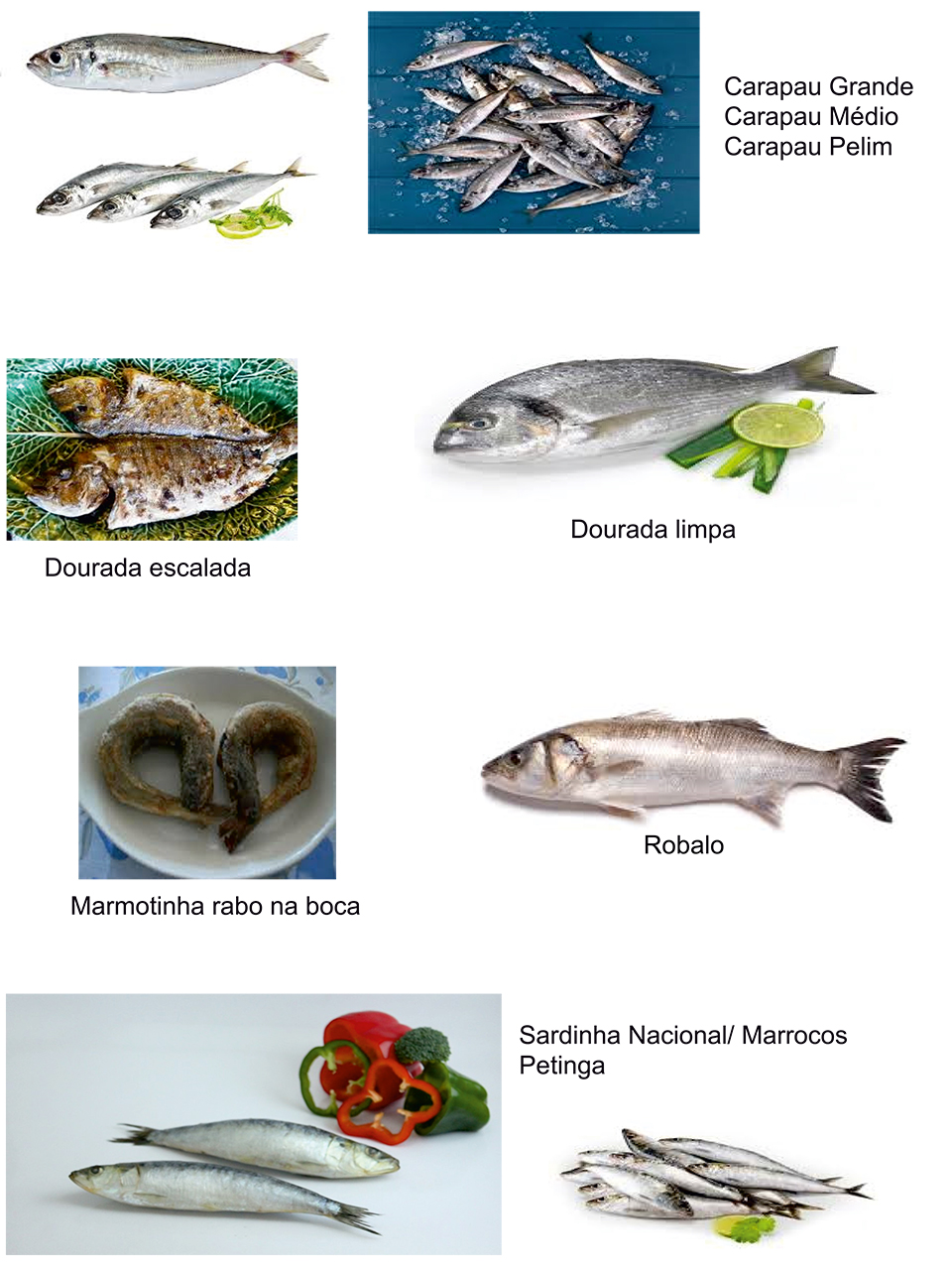 Pescado