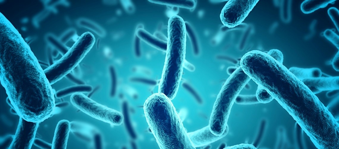 Probioticos