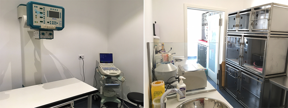 Sala Imagiologia e Sala Preparação