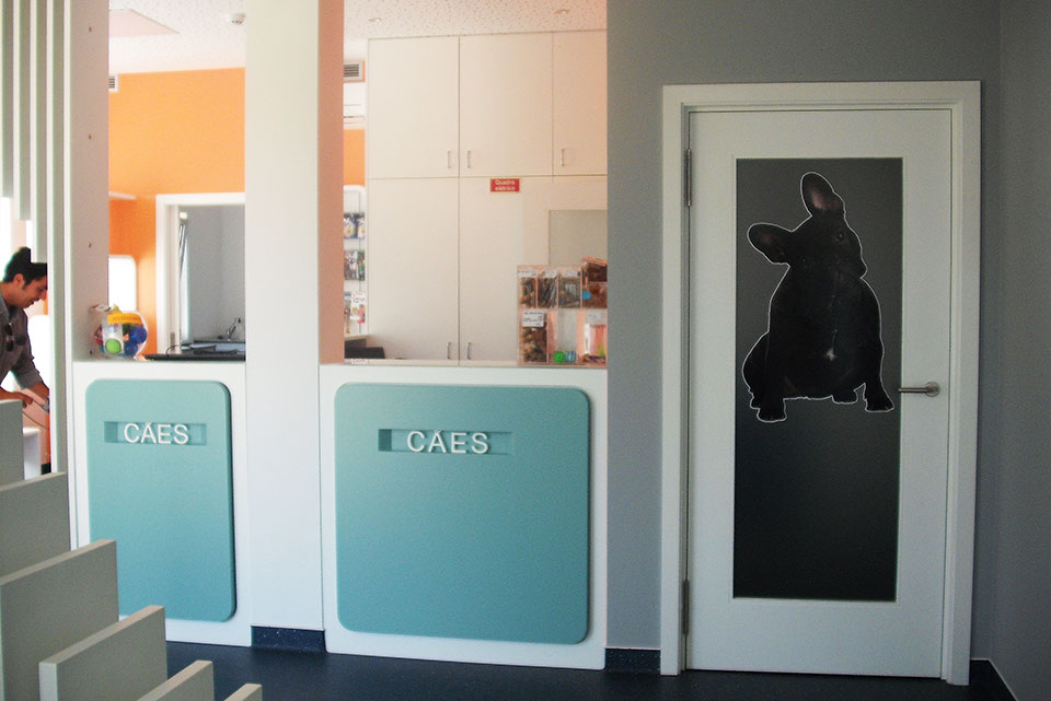 Atendimento Cães